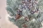  D701671